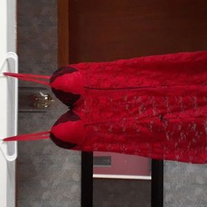 NWOT Red Lace Chemise & Panties 2 Piece Set K105
